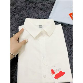 Áo SơMi Nữ Trắng Trơn Basic Dài Tay