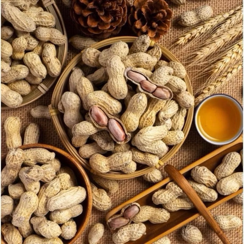Đậu Phộng Rang Bơ Sữa Nguyên Vỏ Giòn Thơm Ngon Gói 500g