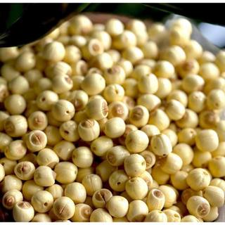 Sen Tươi Huế, Sen Huế hồ Tịnh Tâm, Sen tươi chuẩn Huế 500gr Tuta Foods, giao hỏa tốc HCM