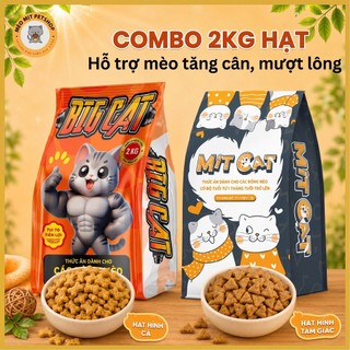 Combo 2kg mix Hạt MITCAT & BIGCAT - Hỗ trợ tăng cân cho mèo, bổ sụng Protein