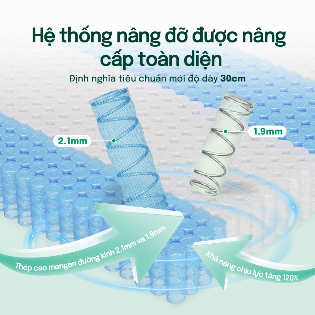 Nệm lò xo cao cấp MossWood 30cm mát lạnh mùa hè | Hỗ trợ nâng đỡ 5 vùng, giảm đau mỏi lưng cổ, tiêu chuẩn 5 sao | BigBuy360 - bigbuy360.vn