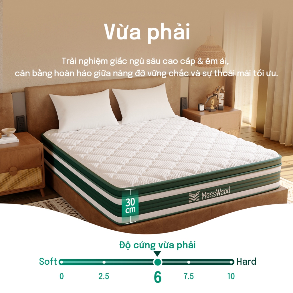 Nệm lò xo cao cấp MossWood 30cm mát lạnh mùa hè | Hỗ trợ nâng đỡ 5 vùng, giảm đau mỏi lưng cổ, tiêu chuẩn 5 sao | BigBuy360 - bigbuy360.vn