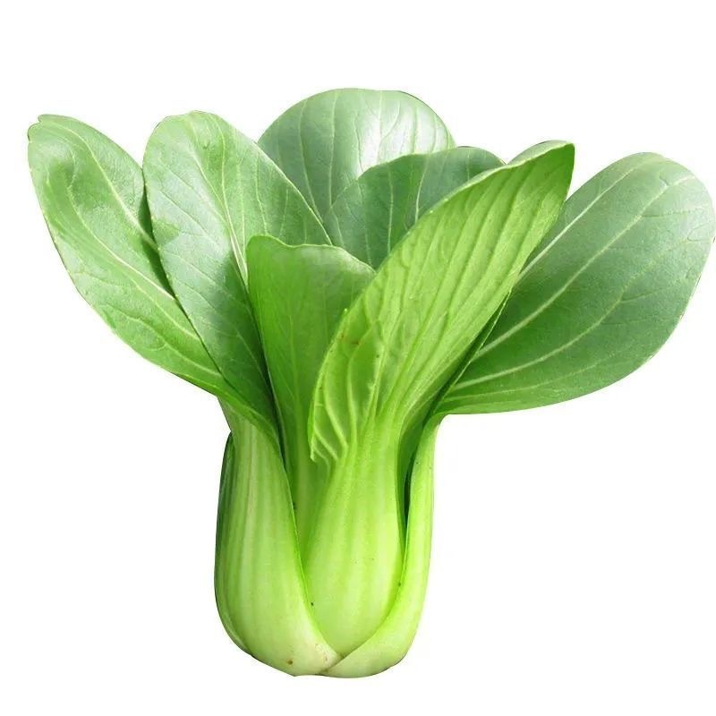 300 hạt giống Hạt giống Pechay để bán Hạt giống rau Bok Choy Hạt giống để trồng cây rau Trung Quốc