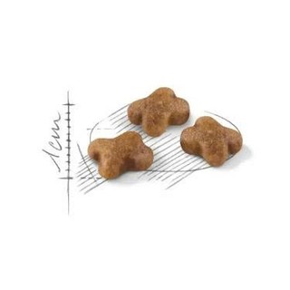 ROYAL CANIN Kitten 2kg ( Dành cho mèo con từ 4 - 12 tháng tuổi )