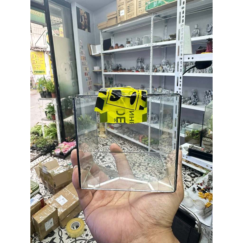 bể kính cubic 10 làm terrarium