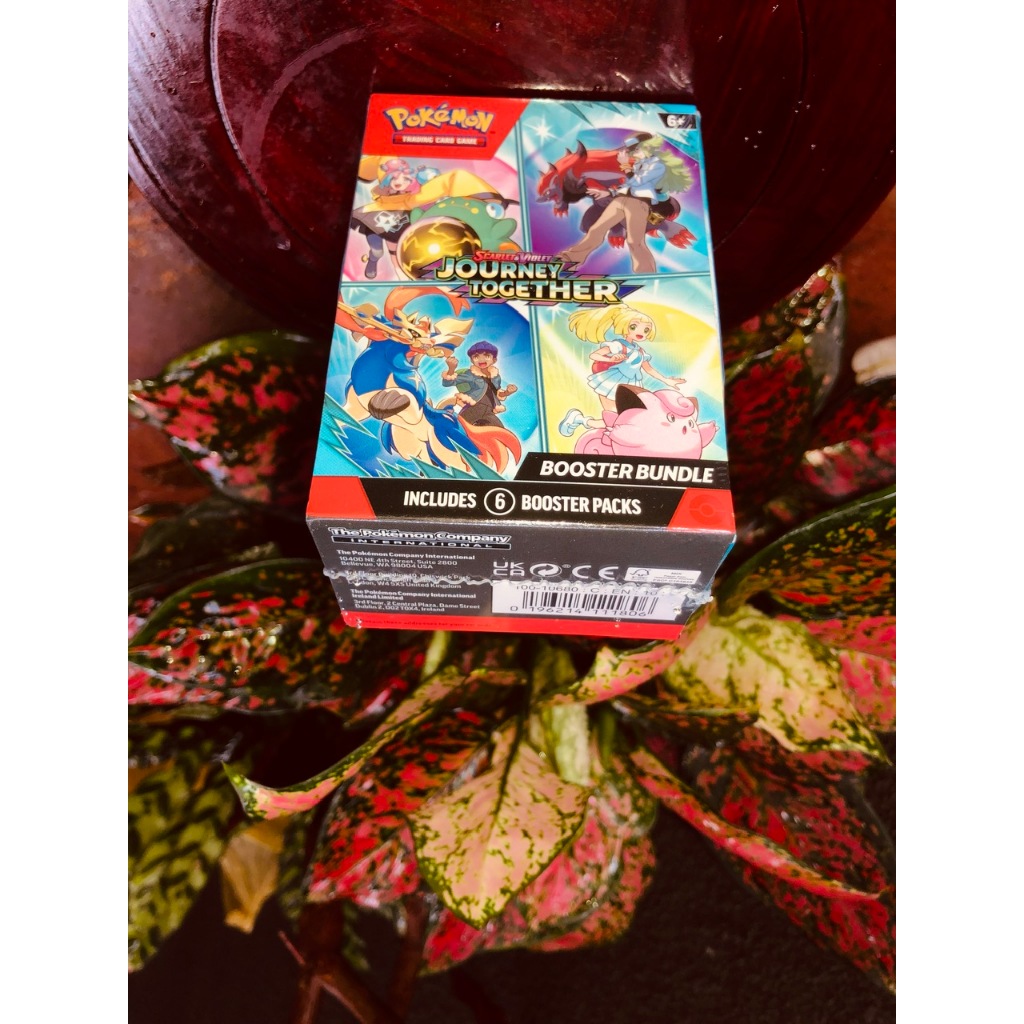 Hộp bài Pokémon TCG: Journey Together: Booster Bundle