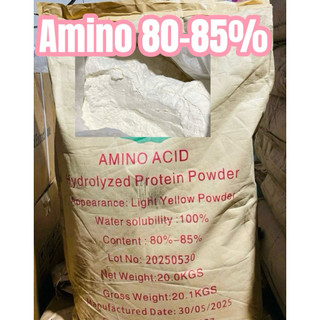 10kg amino 80% chiết
