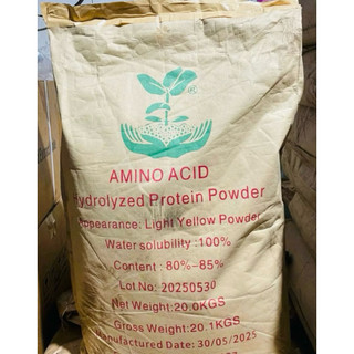 10kg amino 80% chiết