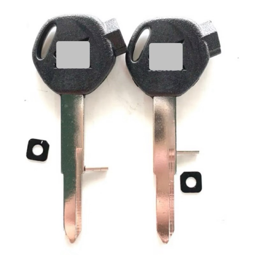 Combo Cặp phôi chìa khoá xe LEAD SCR