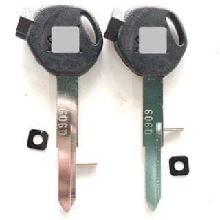 Combo Cặp phôi chìa khoá xe LEAD SCR