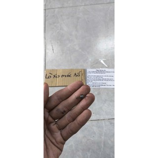 4 cái Lò xo móc số Dream, wave, 67
