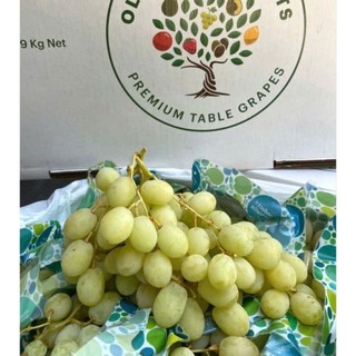 Hộp 500g - NHO XANH ÚC