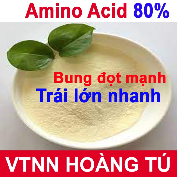 GÓI 1 KG -  Amino Acid 80% Chuyên Sầu Riêng – Bung Đọt Đồng Loạt, Lá Xanh Bền