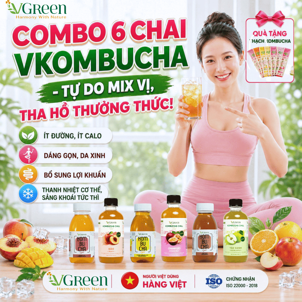 Combo 3 chai kombucha chill & 3 kombucha light, thơm ngon, chứa Probiotics, Vitamin B,C (Chai 250ml)