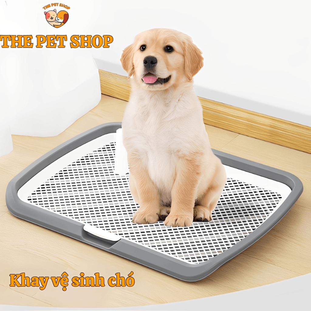 Khay vệ sinh cho chó The Pet Shop có tấm lưới ngăn, kèm cột huấn luyện, đa dạng kích cỡ, tiện lợi.