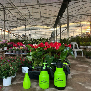 bình phun tưới tay đức đạt (dubaco) 2 lít