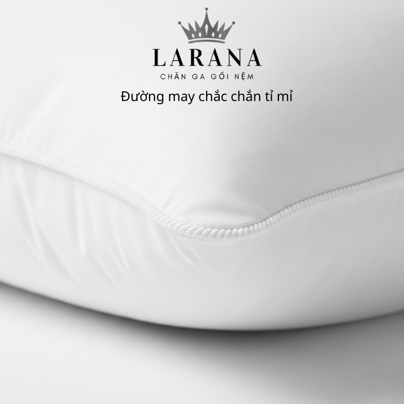 Ruột Gối Gòn Lông Vũ Microfiber 45x65,50x70,60x80,50x90 Êm Ái  Mềm Mại Chuyên Dùng Cho Khách Sạn Cao Cấp | BigBuy360 - bigbuy360.vn