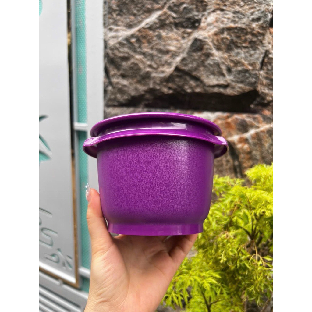 Tô đựng thực phẩm Tupperware, One Touch Bowl 600ml, nhựa nguyên sinh, nút đậy 1 chạm, hàng nhập Mala