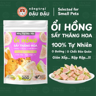 Ổi Sấy Thăng Hoa Cho Thỏ, Bọ Ú, Hamster Trái Cây Sấy Ăn Vặt Giàu Vitamin 20g