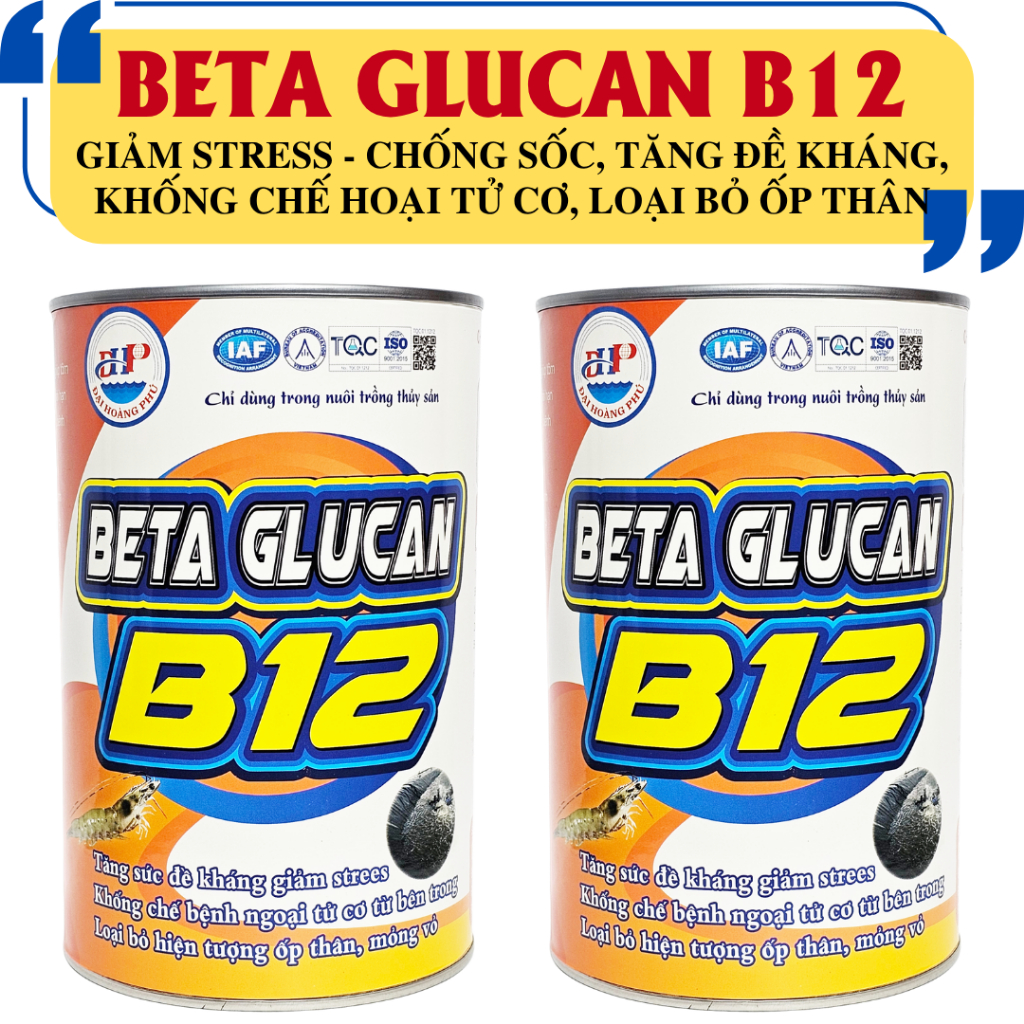 BETA GLUCAN B12 - CHỐNG SỐC, GIẢM STRESS, TĂNG SỨC ĐỀ KHÁNG, LOẠI BỎ ỐP THÂN, MỎNG VỎ TRÊN TÔM
