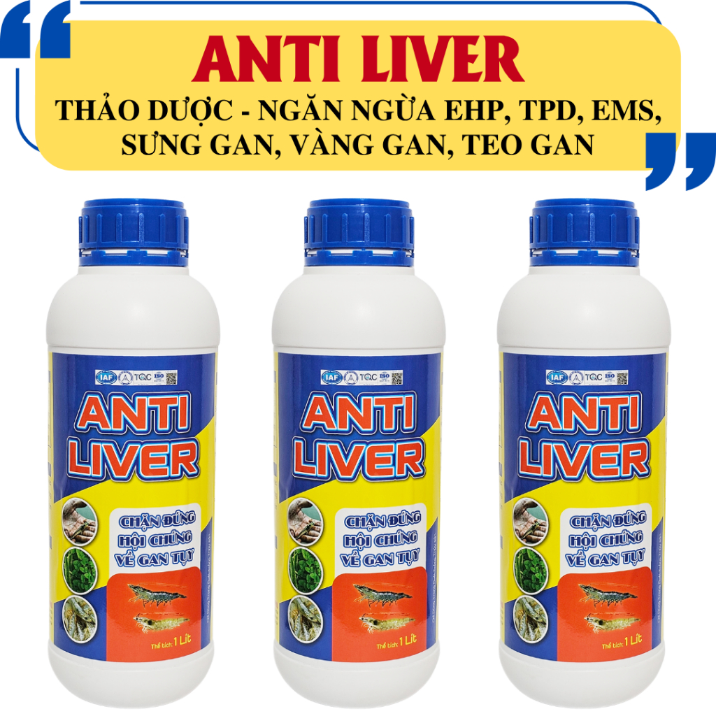 THẢO DƯỢC ANTI LIVER - GAN TẠT NGĂN NGỪA SƯNG GAN, VÀNG GAN, TEO GAN, TRẮNG GAN, EHP, TPD TRÊN TÔM