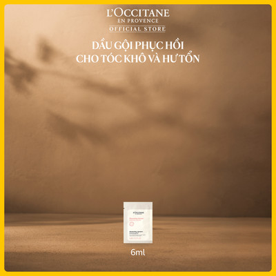 [HB GIFT] Dầu Gội Phục Hồi L'OCCITANE Cho Tóc Khô và Hư Tổn 6ML