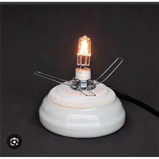 Bóng đèn halogen cho đèn xông tinh dầu