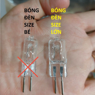 Bóng đèn halogen cho đèn xông tinh dầu