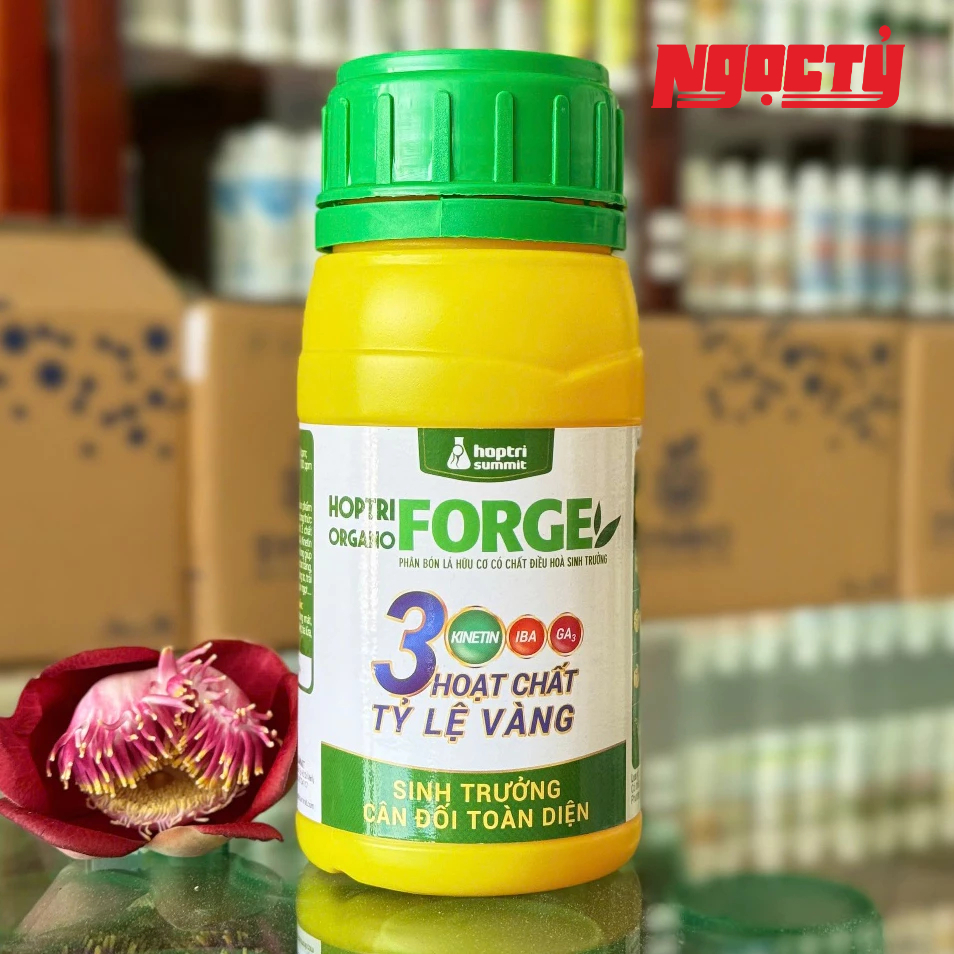 Organo Forge chai 250ml Hợp Trí