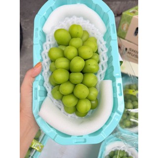 [ HỎA TỐC ] NHO sữa hộp lun chùm giá tốt ngọt thơm lắm ạ giá bán không lợi nhuận