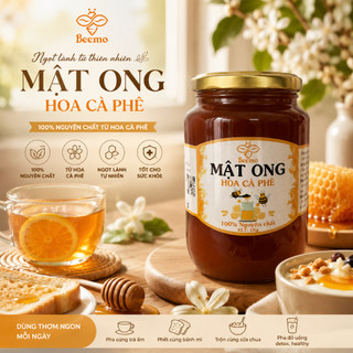 Mật Ong Nguyên Chất Hoa Cà Phê Beemo – Mật Ong Tự Nhiên 100% Nguyên Chất