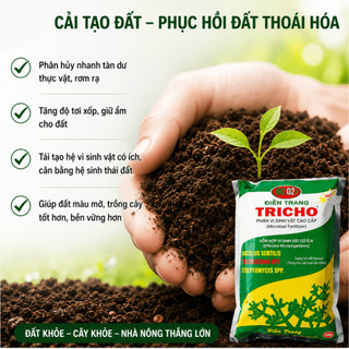 Nấm Đối Kháng Trichoderma Điền Trang Gói 500 Gram