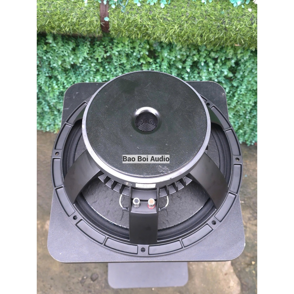 Bass 30 BC Coil 65 từ 170mm