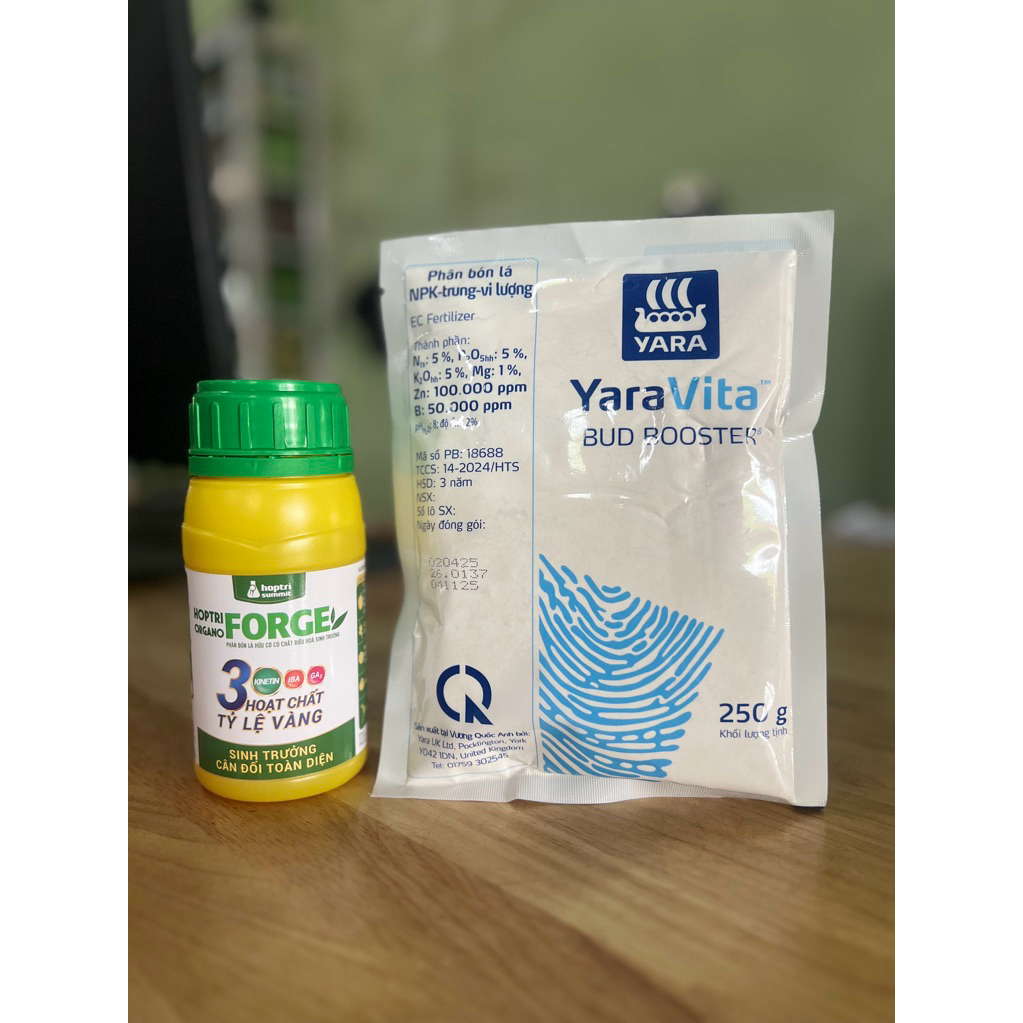 BỘ ĐÔI Hợp Trí Organo Forge 250ml + Bud Booster 250gr CTY HỢP TRÍ