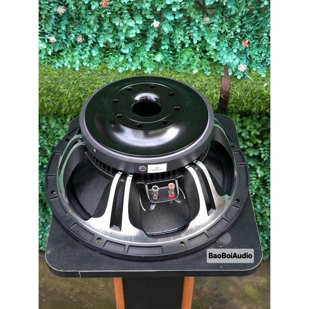Bass 30 RCF Sườn CNC Coil 65 từ 170mm