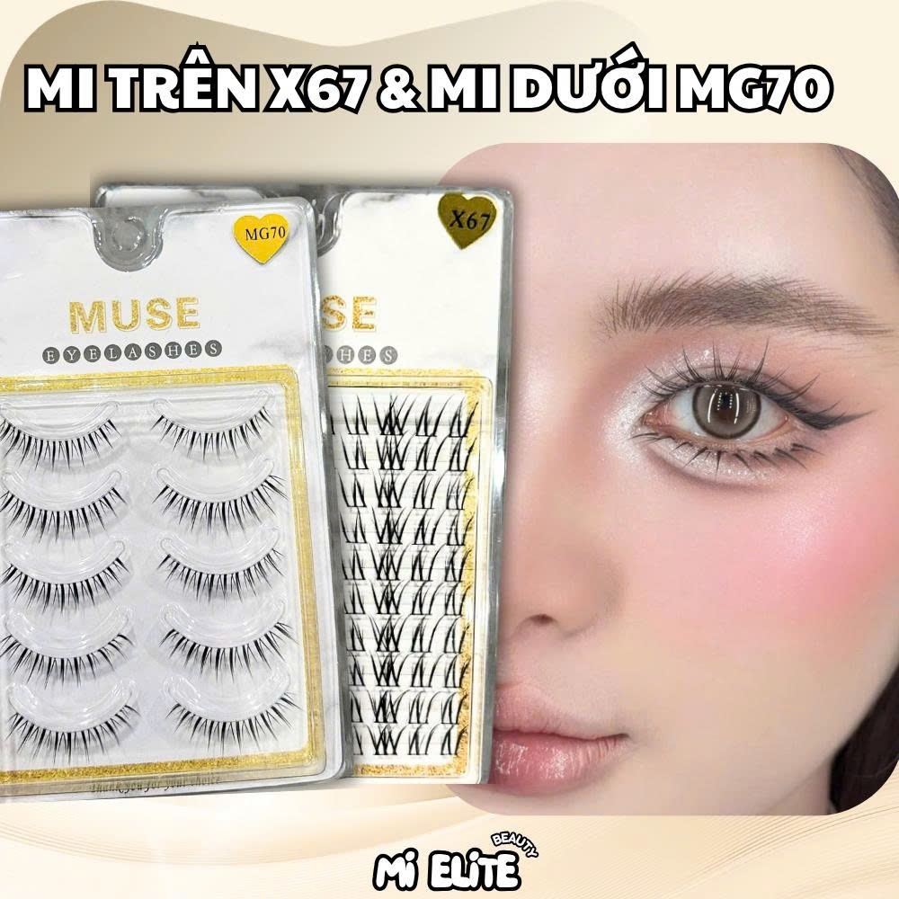 Combo Mi Rời Trên X67 & Mi Dưới MG70, Cặp Đôi Hoàn Hảo Cho Đôi Mắt Long Lanh - Mi Elite Beauty