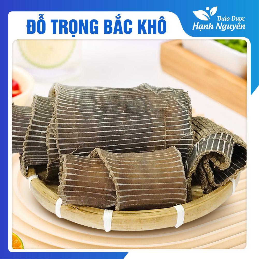 Đỗ trọng bắc khô 100g, miếng to, đẹp, dập sợi đều dẹt - Thảo Dược Hạnh Nguyên