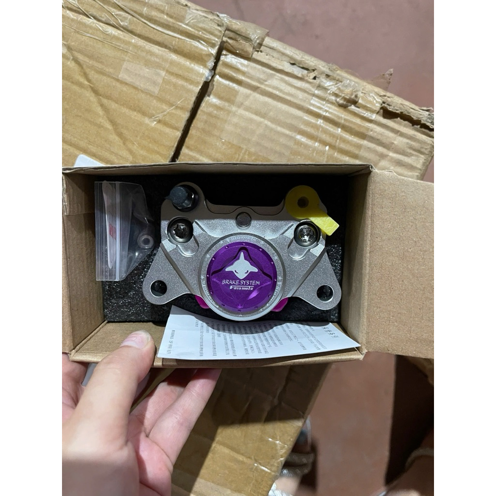 Heo dầu xe điện độ-heo cá mập 2piston