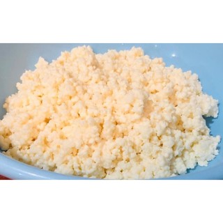 Nấm sữa chua kefir (nấm làm sữa chua tại nhà)