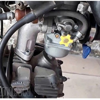 Bình xăng con Bông mai vàng 150cc