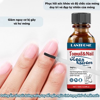 Tinh chất phục hồi móng hư tổn