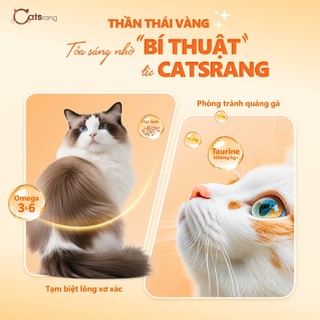 (CATSRANG 5KG)Thức ăn hạt cho mèo mọi lứa tuổi CATSRANG 5KG