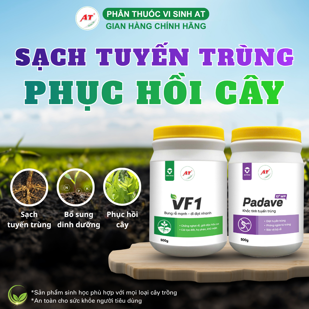 TUYẾN TRÙNG RỄ SINH HỌC PADAVE WP & PHÂN BÓN HỮU CƠ VF1- Xử Lý Tuyến Trùng, Phục Hồi Cây Bệnh 500g