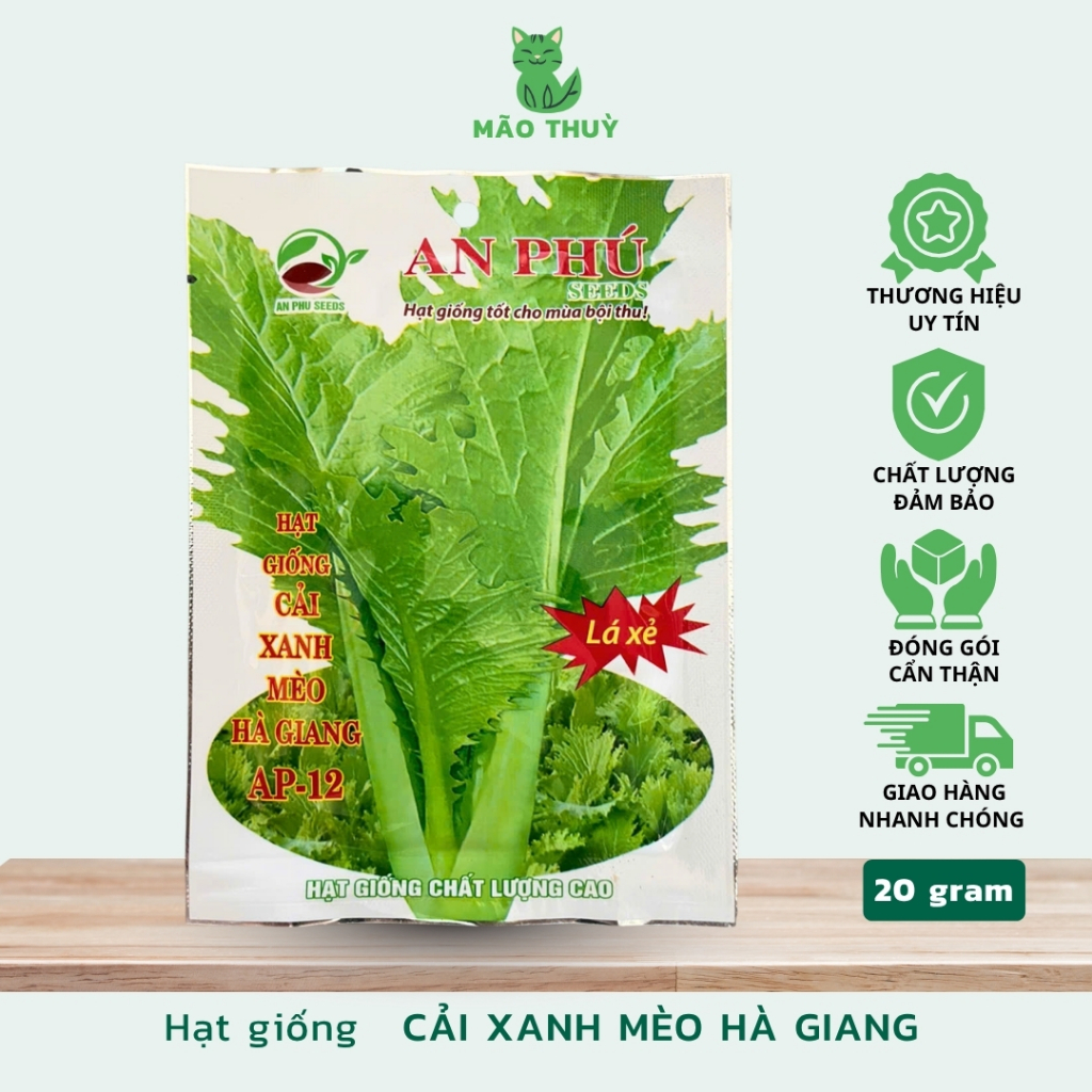 Hạt giống Cải Mèo Hà Giang 20g, Hạt giống cải mèo xanh Hà Giang An Phú, Hạt giống cải mèo lá to, dày
