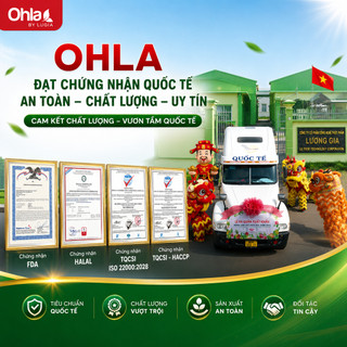 Ổi Sấy Dẻo Ohla 100g - Trái Cây Tươi Tự Nhiên Tuyển Chọn