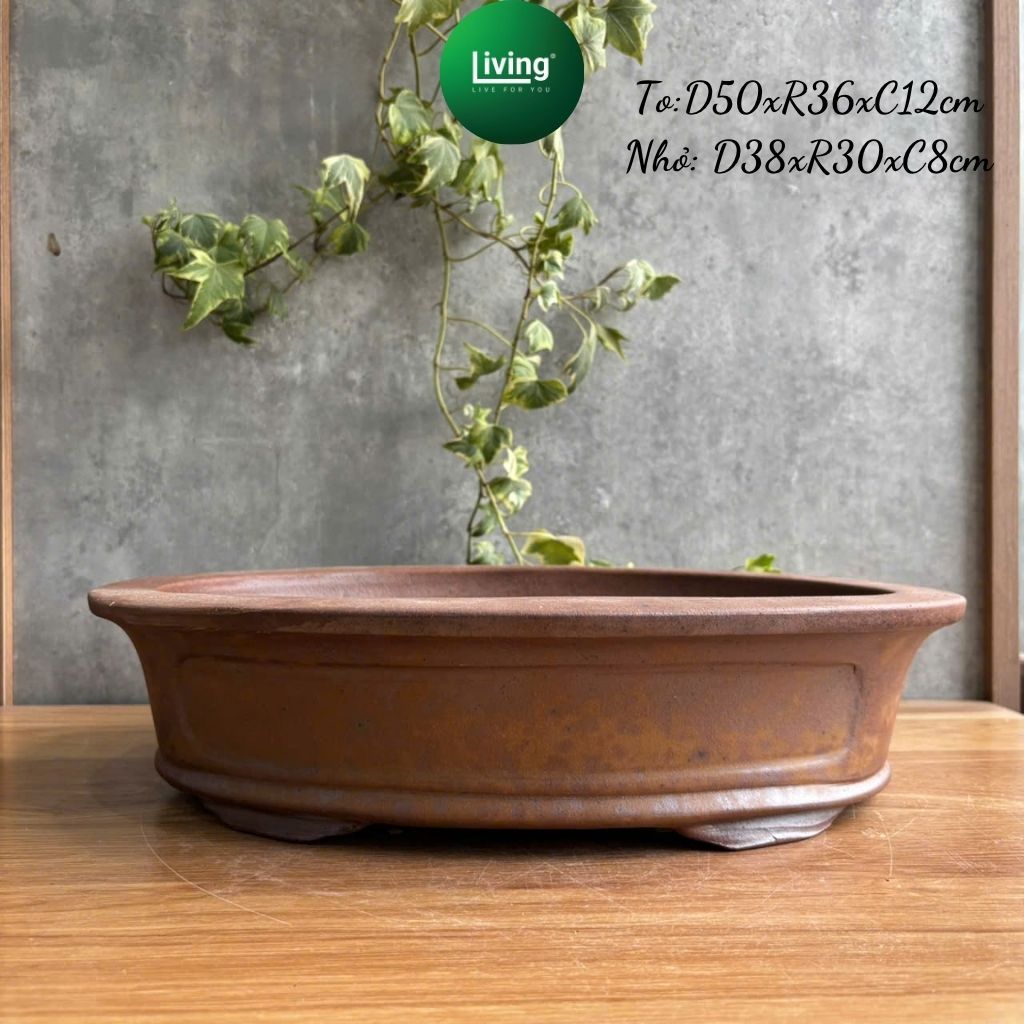 Chậu Bonsai Men Rỉ Sét Tàu Cao Cấp Dáng Ovan - Khay Gốm Trồng Cây Cảnh Miệng Cạn Nhập Khẩu Đẳng Cấp 