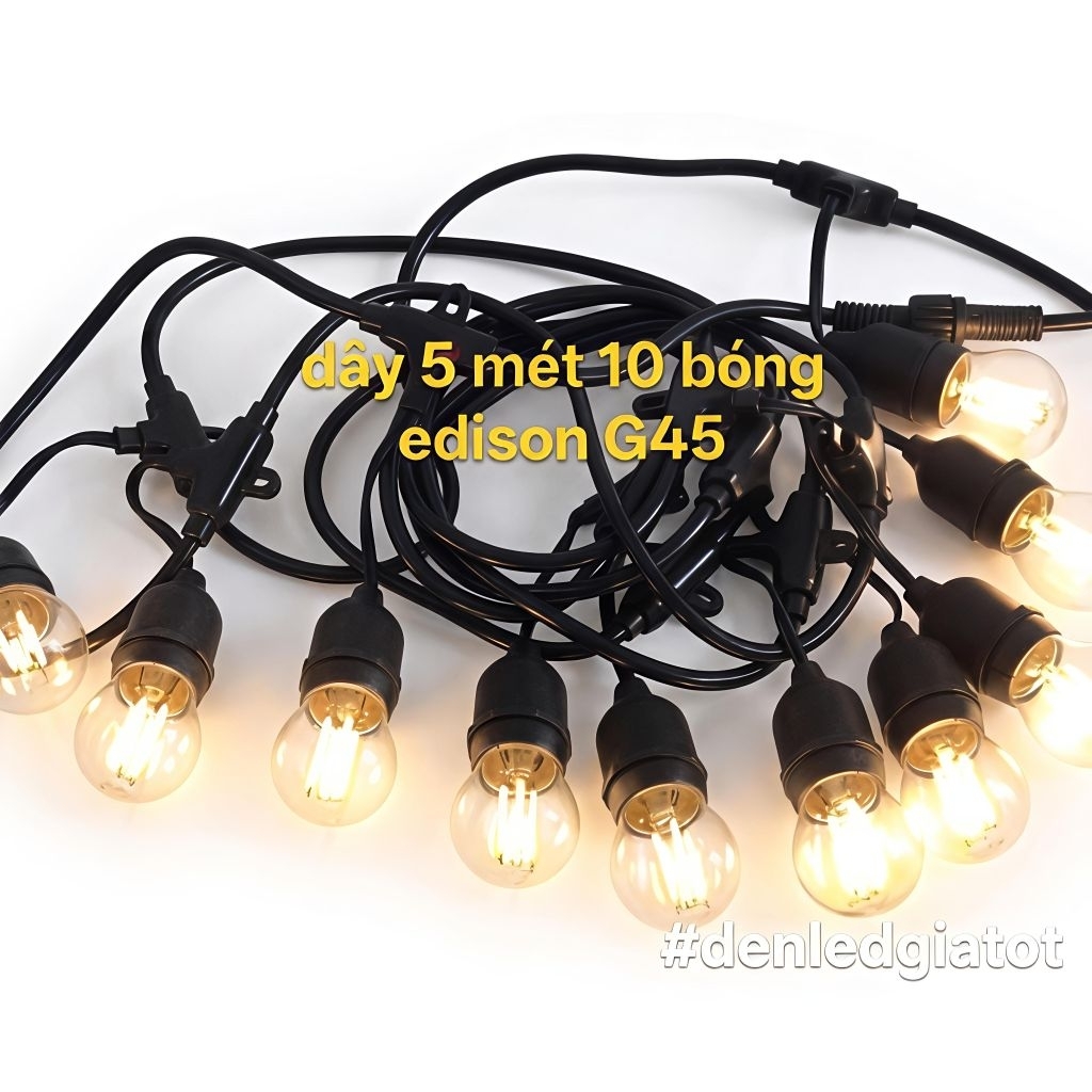 Dây đèn ngoài trời 5 mét ,10 mét kèm bóng kín nước EDISON ST64 - EDISON G45