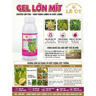 GEL LỚN MÍT 500ML - TRÁI TO NẶNG KÝ ĐẸP MÃ