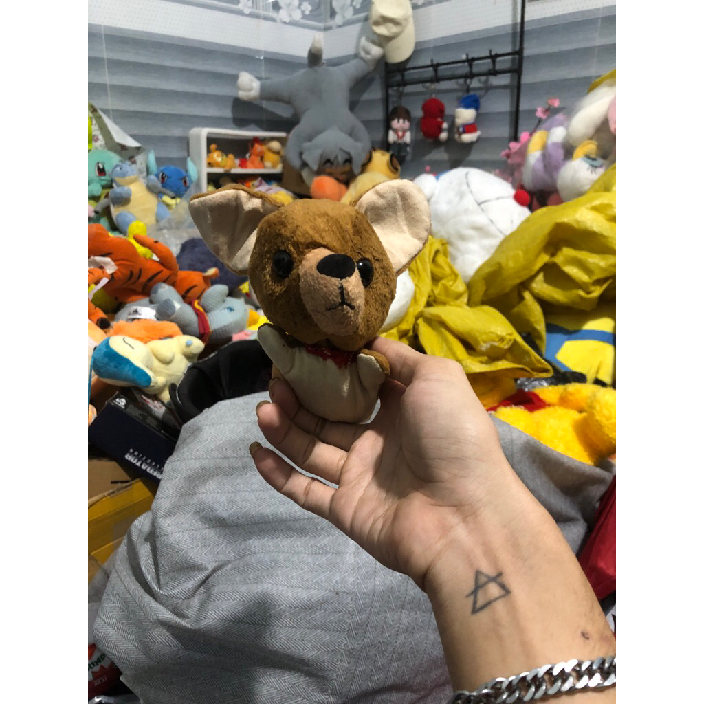 Gấu 2hand Thú nhồi bông hình chó Chihuahua nhỏ.