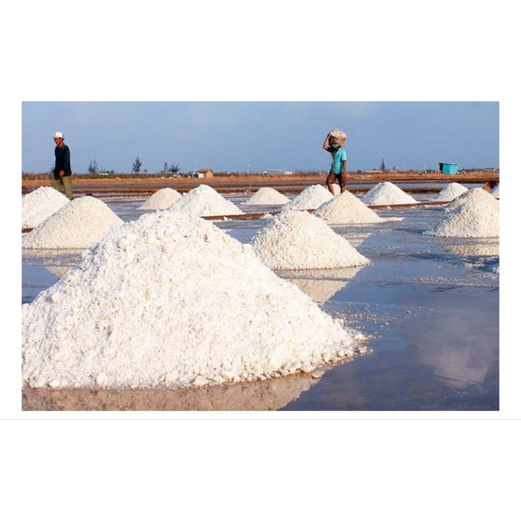 Muối hột, muối biển Bạc Liêu
